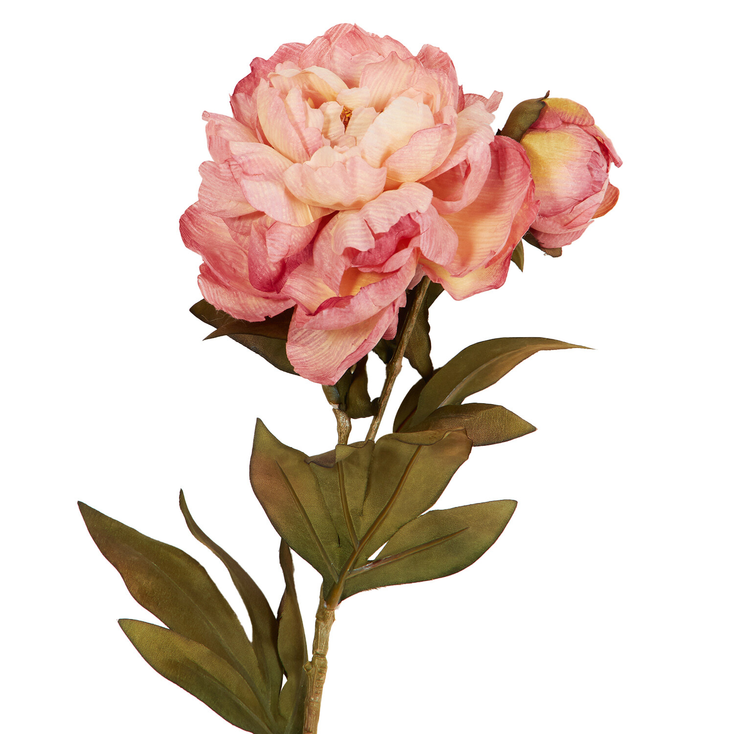 Open Peony - White or Pink Image 6
