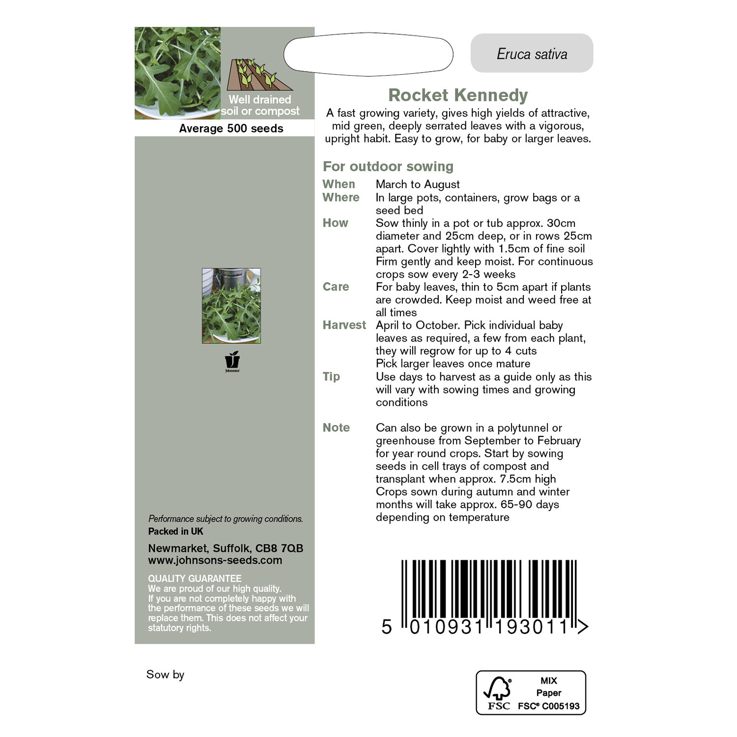 Johnsons Kennedy Rocket Seeds Image 3