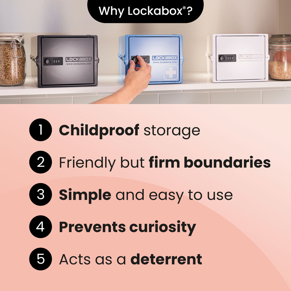 Lockabox One 10L Medi Red Lockable Safe Box Image 4
