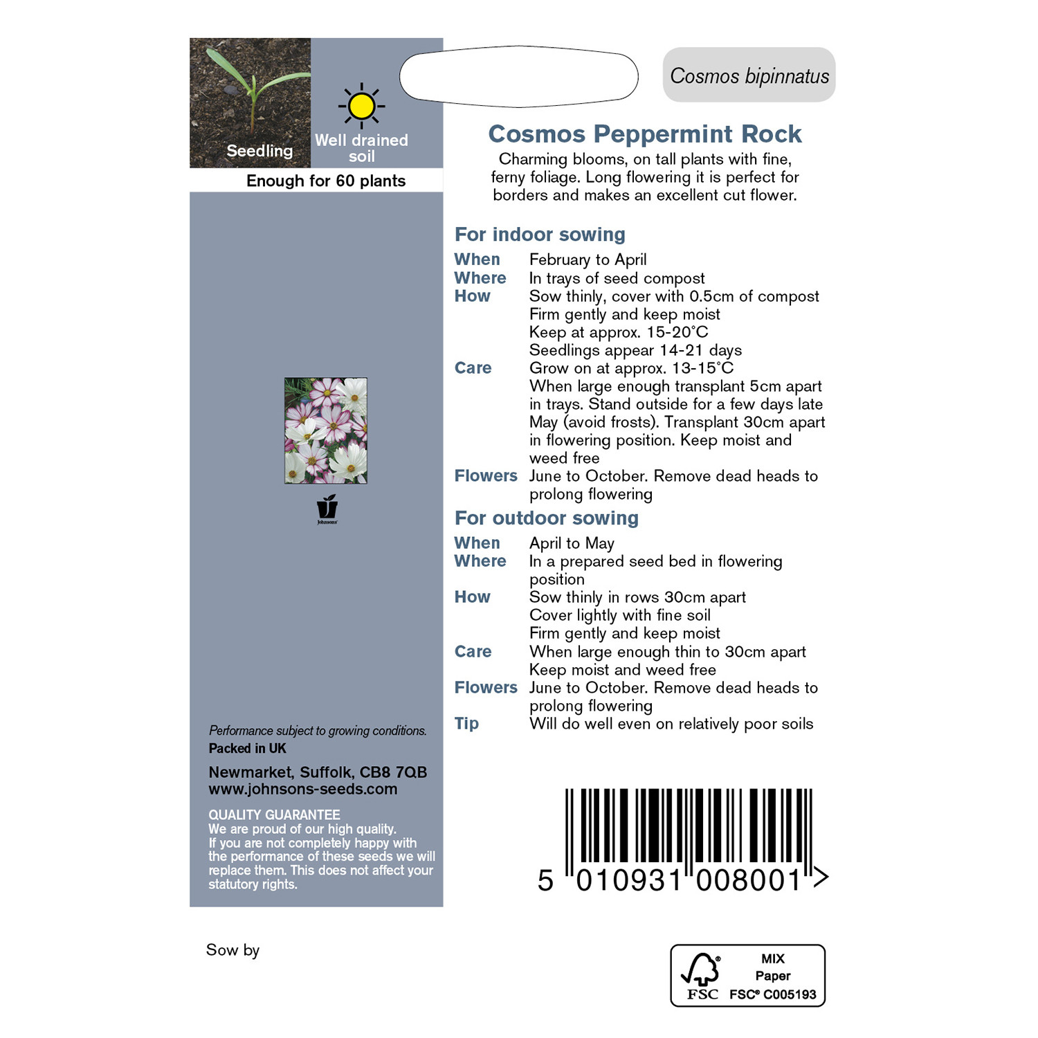 Johnsons Cosmos Peppermint Rock Flower Seeds Image 3