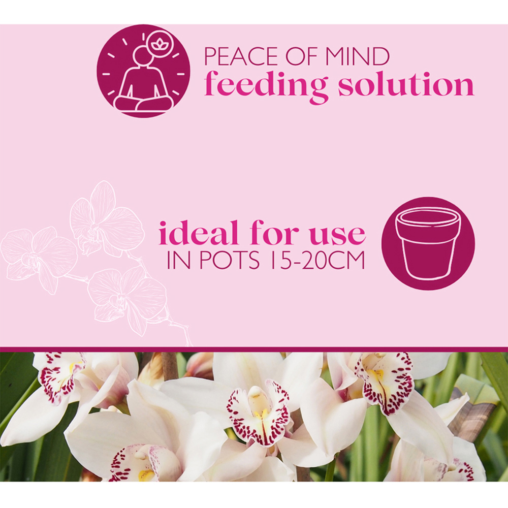 Baby Bio Orchid Drip Feeders 40ml 4 Pack Image 8