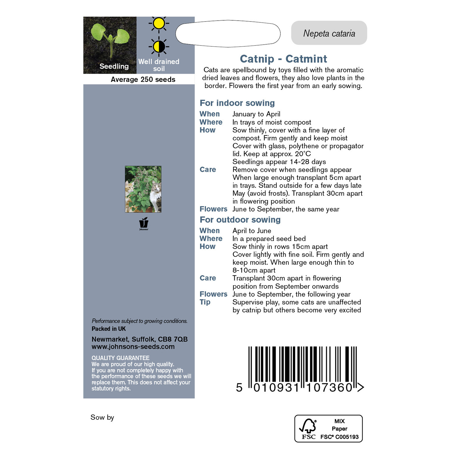 Johnsons Catnip Catmint Flower Seeds Image 3