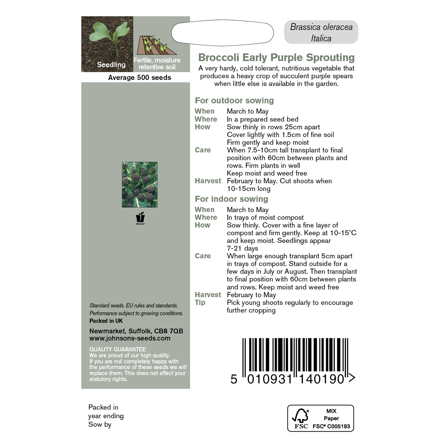 Johnsons Early Purple Sprouting Broccoli Seeds Image 3