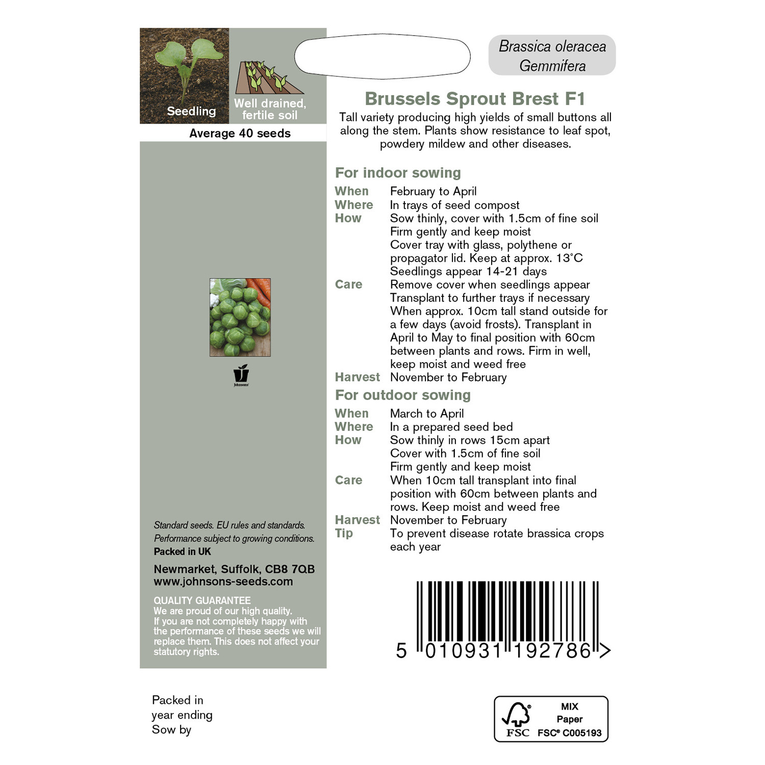 Johnsons Brest F1 Brussels Sprout Seeds Image 3