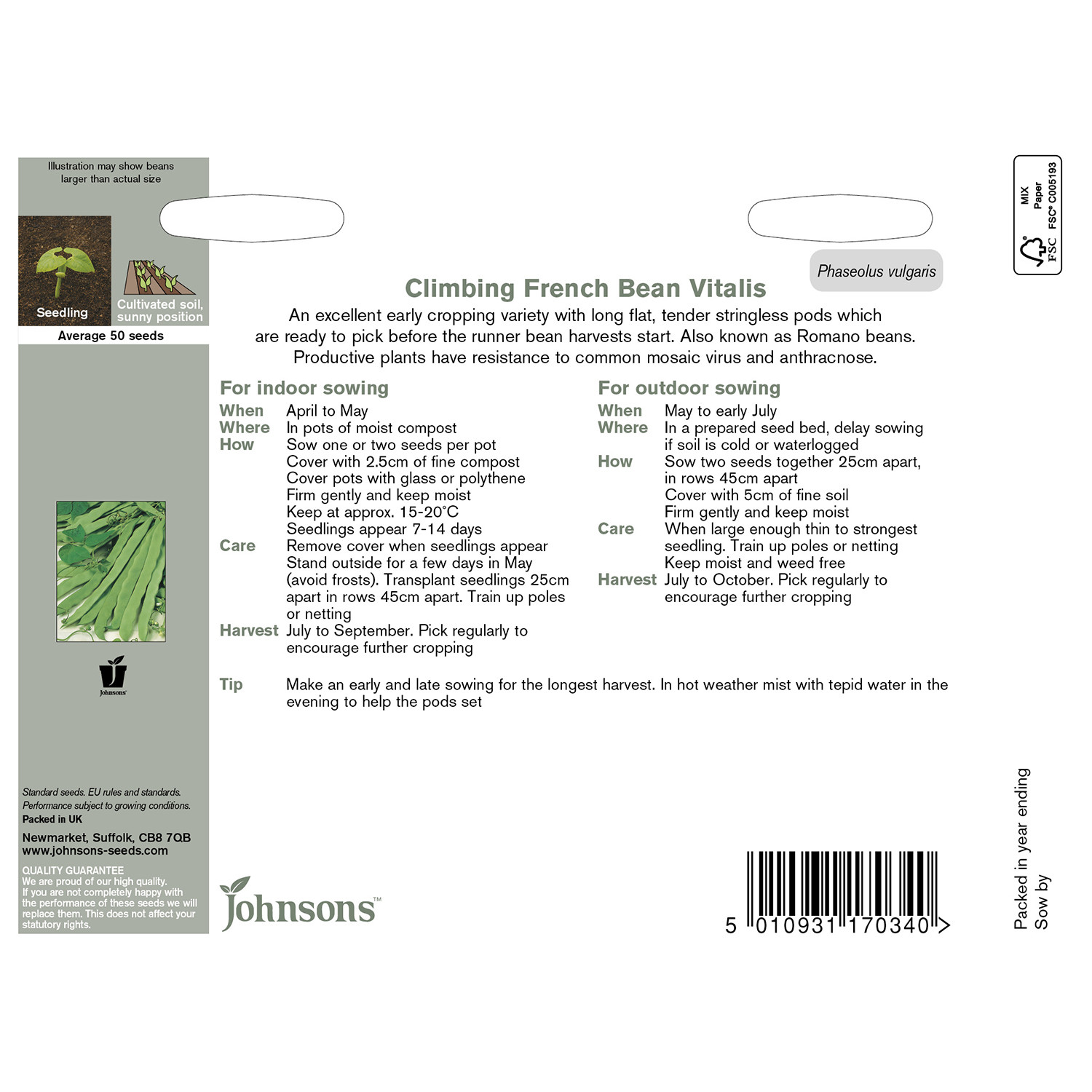 Johnsons Vitalis Climbing French Bean Seeds Image 3