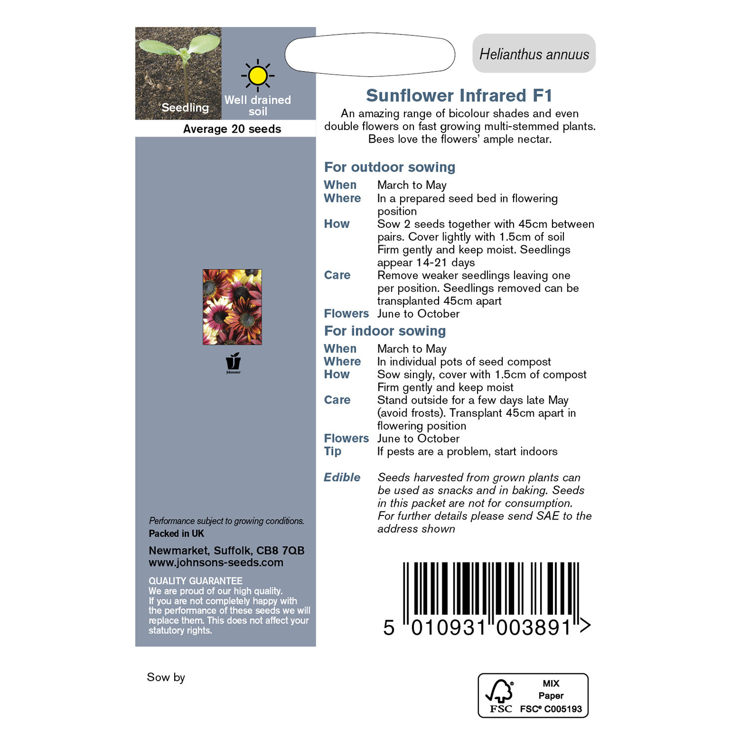 Johnsons Pack of Infrared F1 Sunflower Seeds Image 2