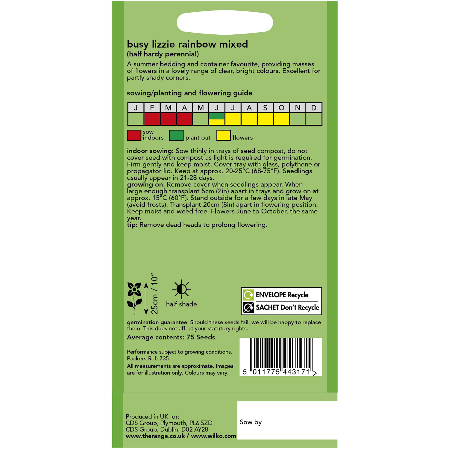 Busy Lizzie Rainbow Mix Seeds Image 2