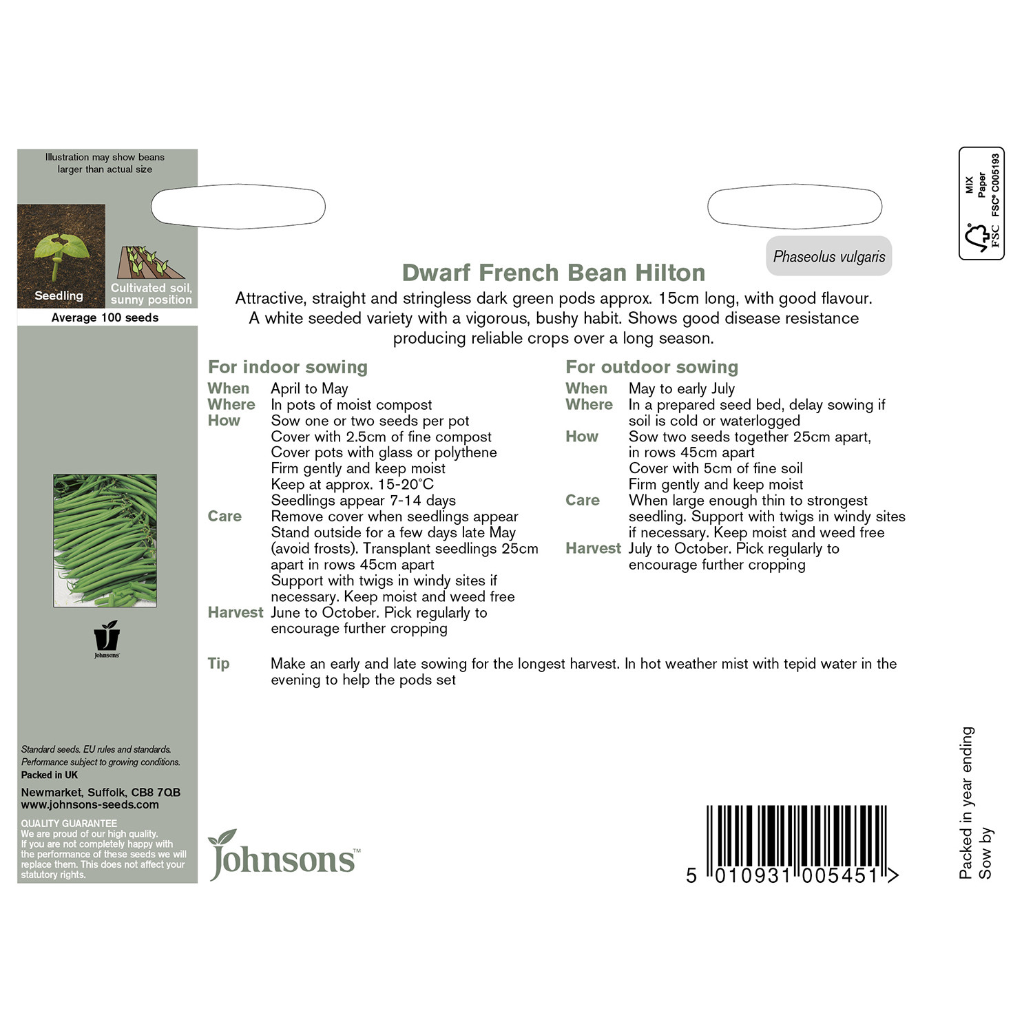 Johnsons Hilton Dwarf French Bean Seeds Image 3