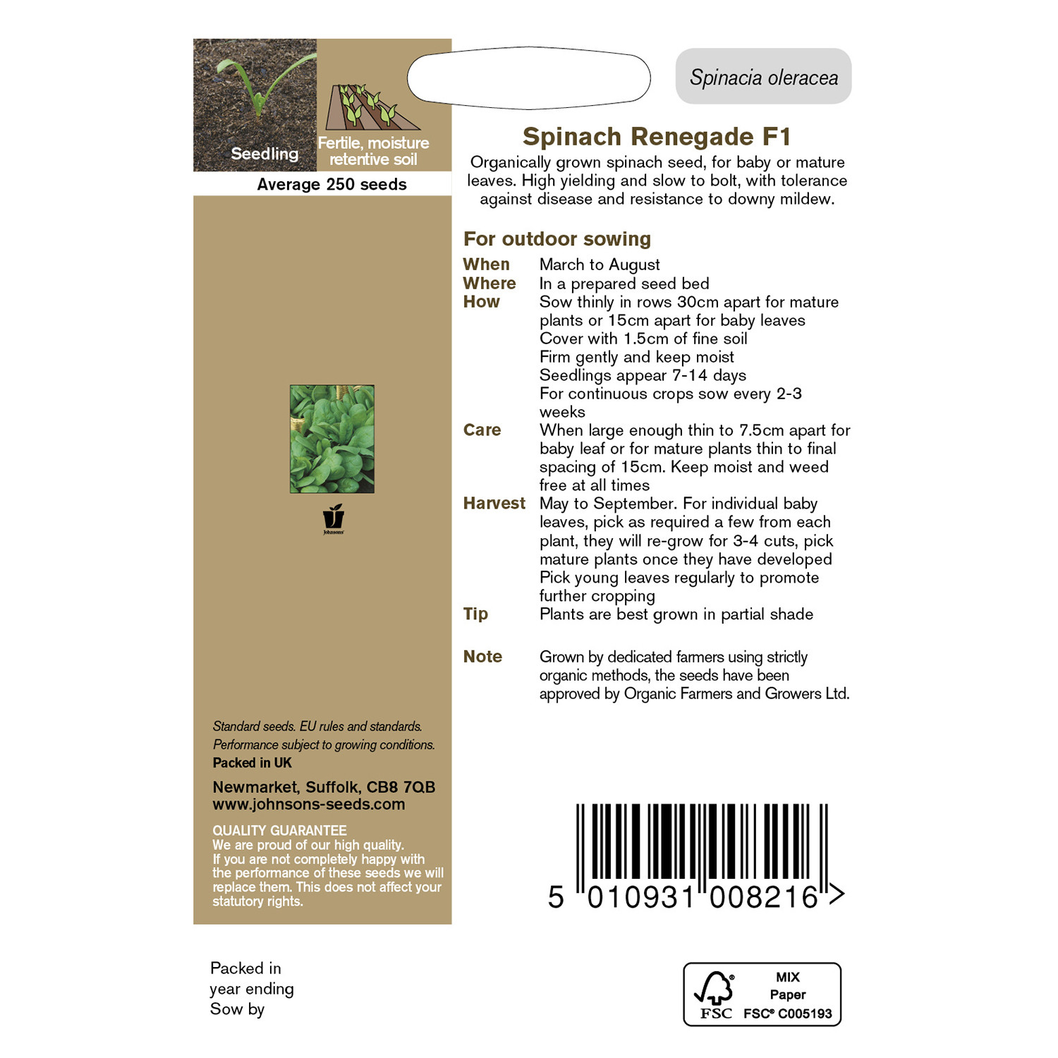 Johnsons Pack of Organic Spinach Renegade F1 Seeds Image 2