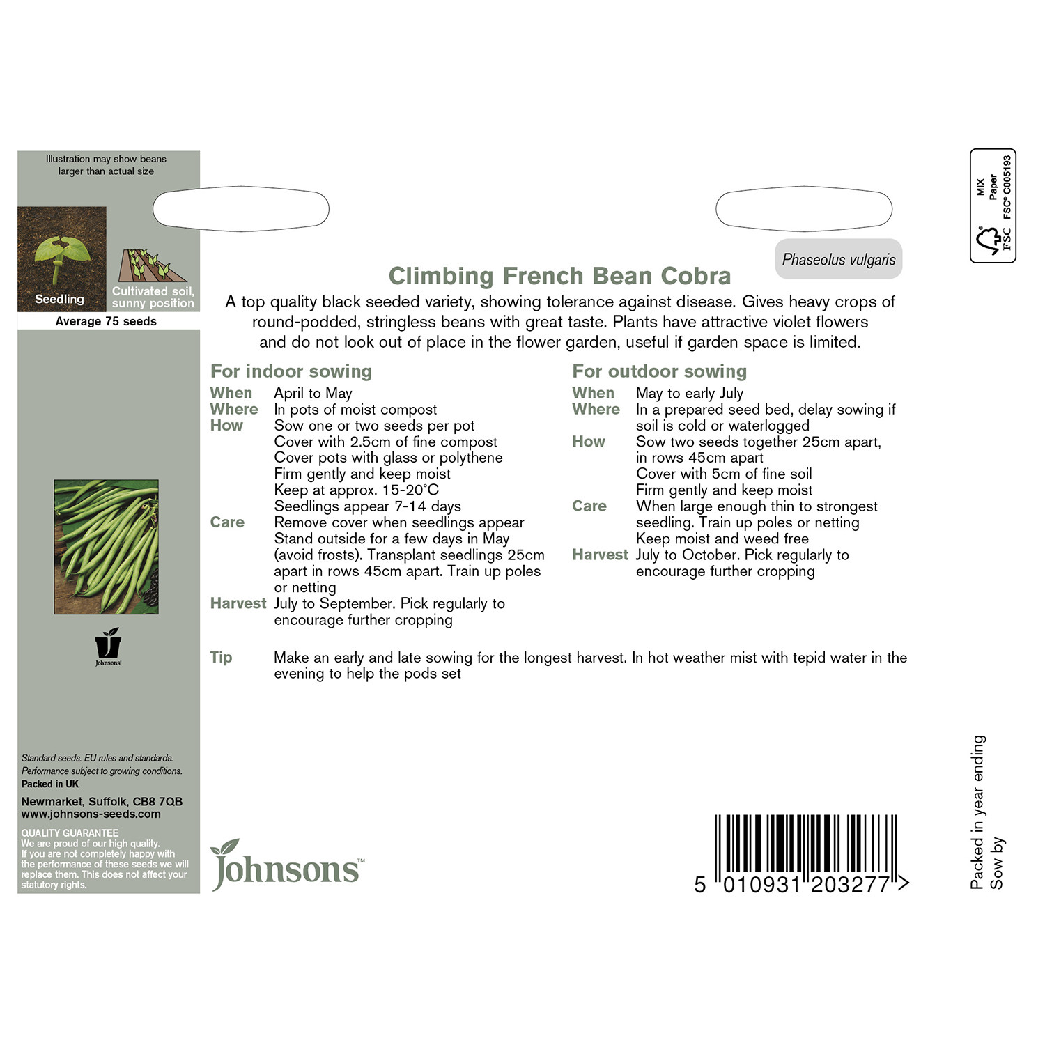 Johnsons Cobra Climbing French Bean Seeds Image 3