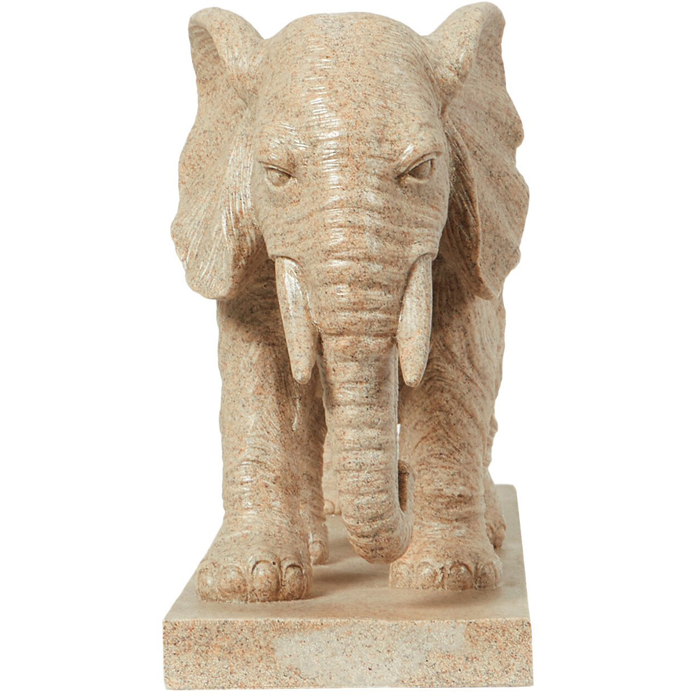 Elephant Plaque Natural Image 2