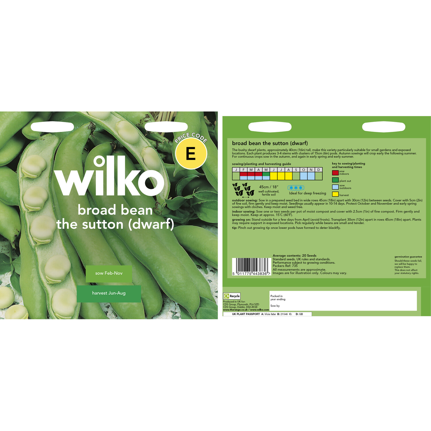 The Sutton Dwarf Broad Bean Seeds - Light Green Image 3