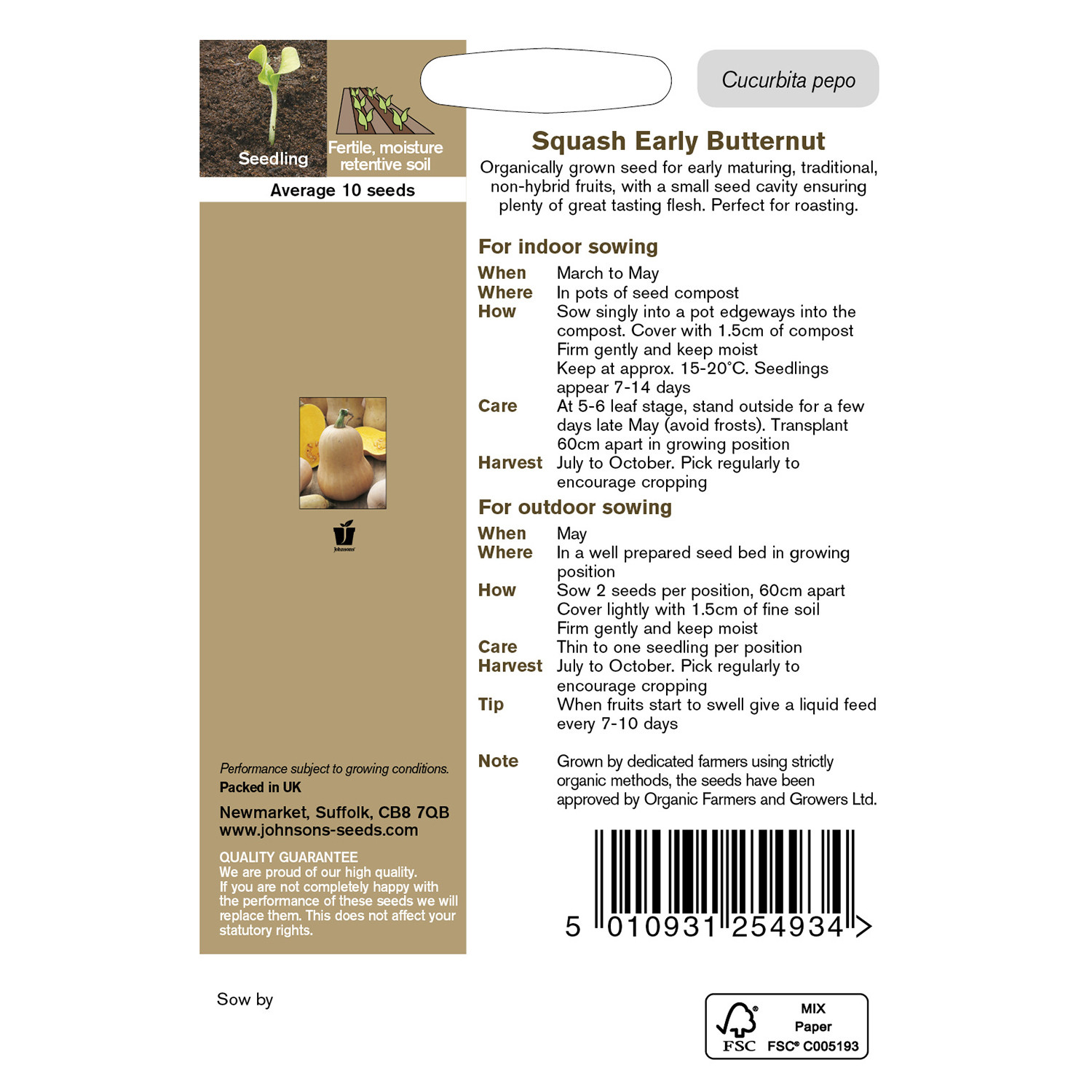 Johnsons Organic Early Butternut Winter Squash Seeds Image 3