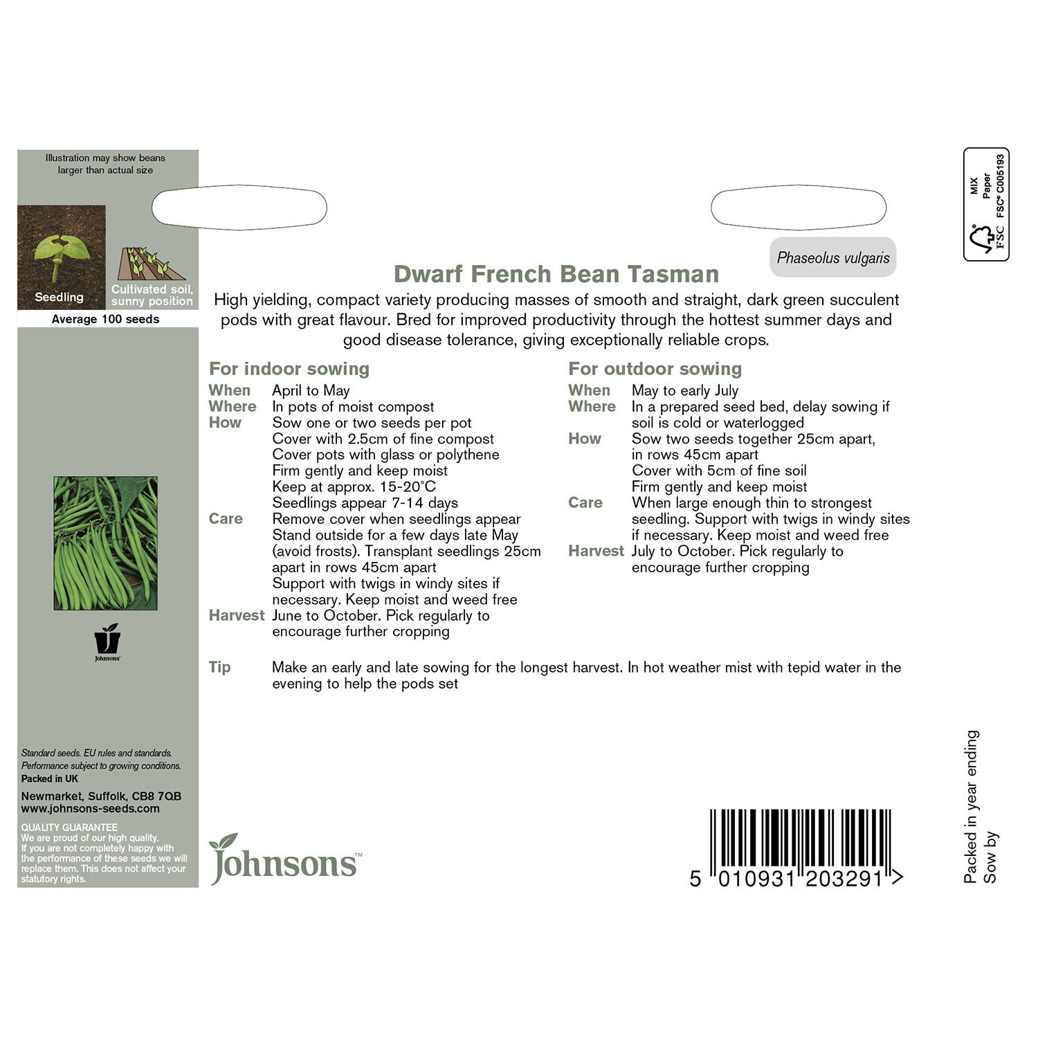 Johnsons Tasman Dwarf French Bean Seeds Image 3