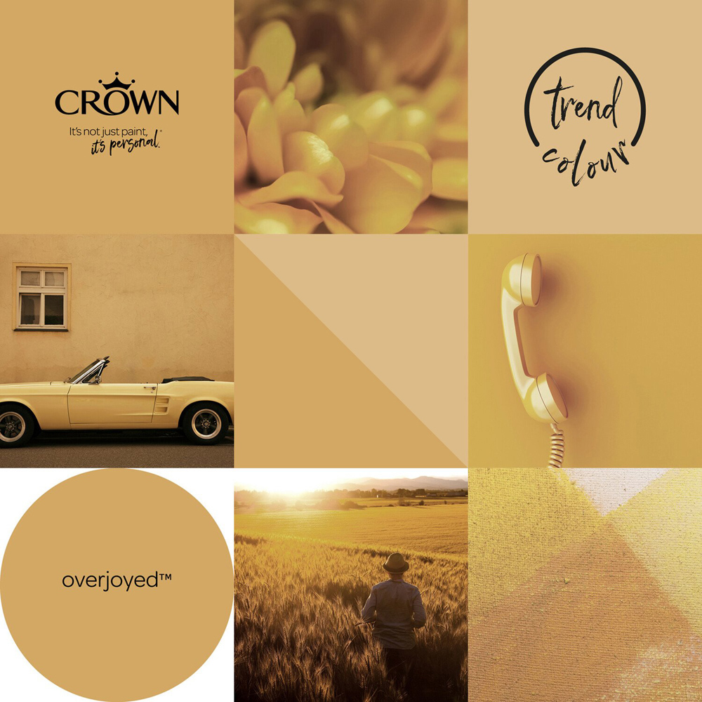 Crown Walls & Ceilings Overjoyed Mid Sheen Emulsion Paint 2.5L Image 6