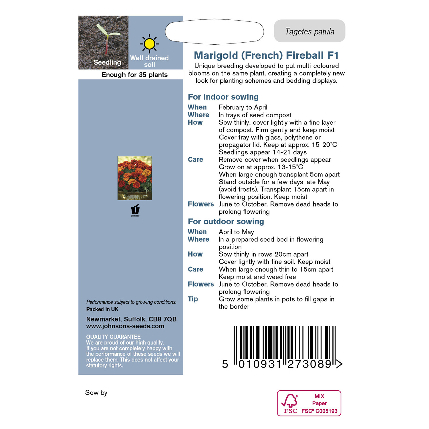 Johnsons Marigold French Fireball Flowers Image 2