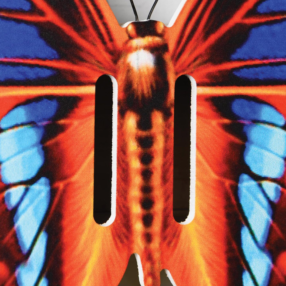 Large Butterfly House - Orange Image 3