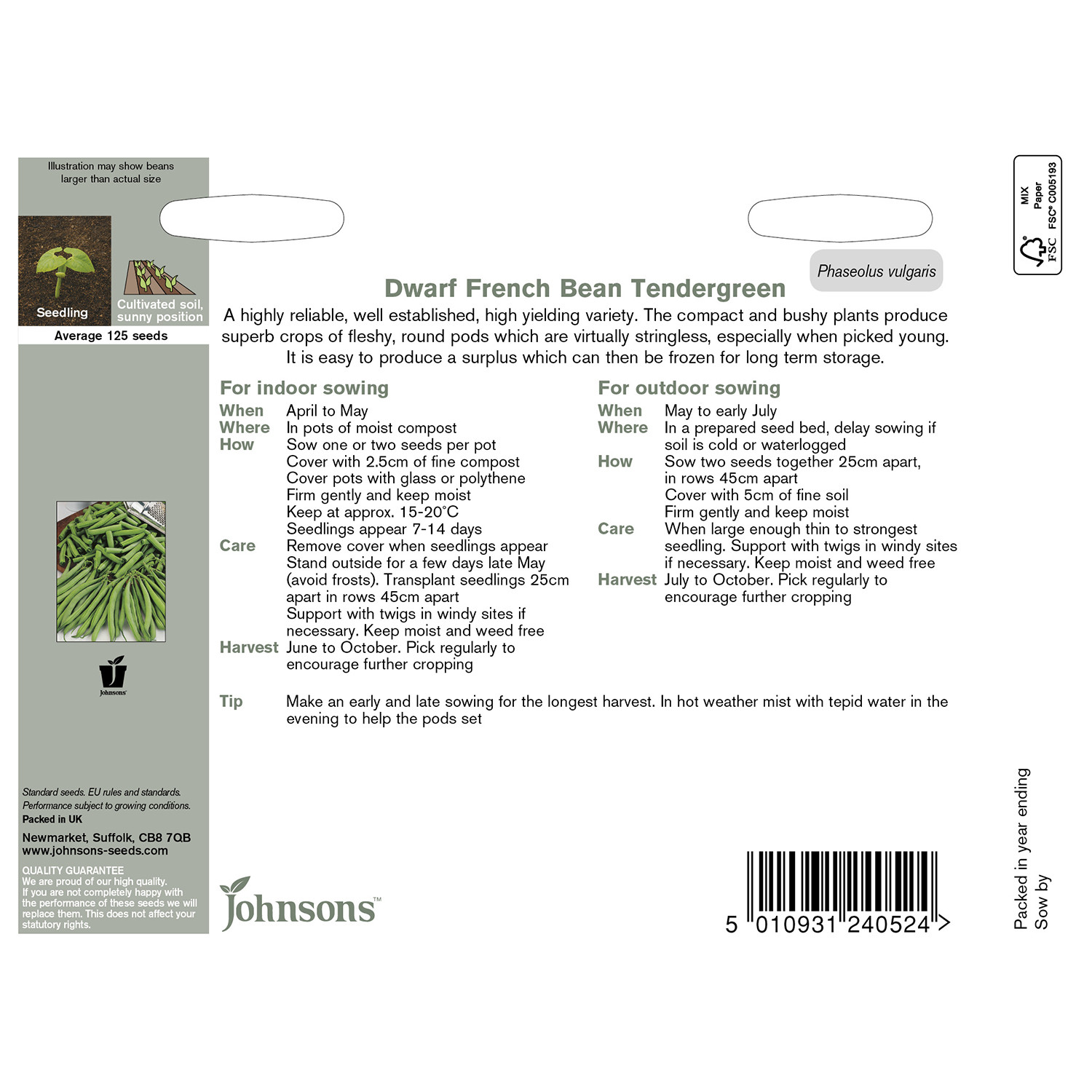 Johnsons Pack of Tendergreen Dwarf French Bean Seeds Image 2