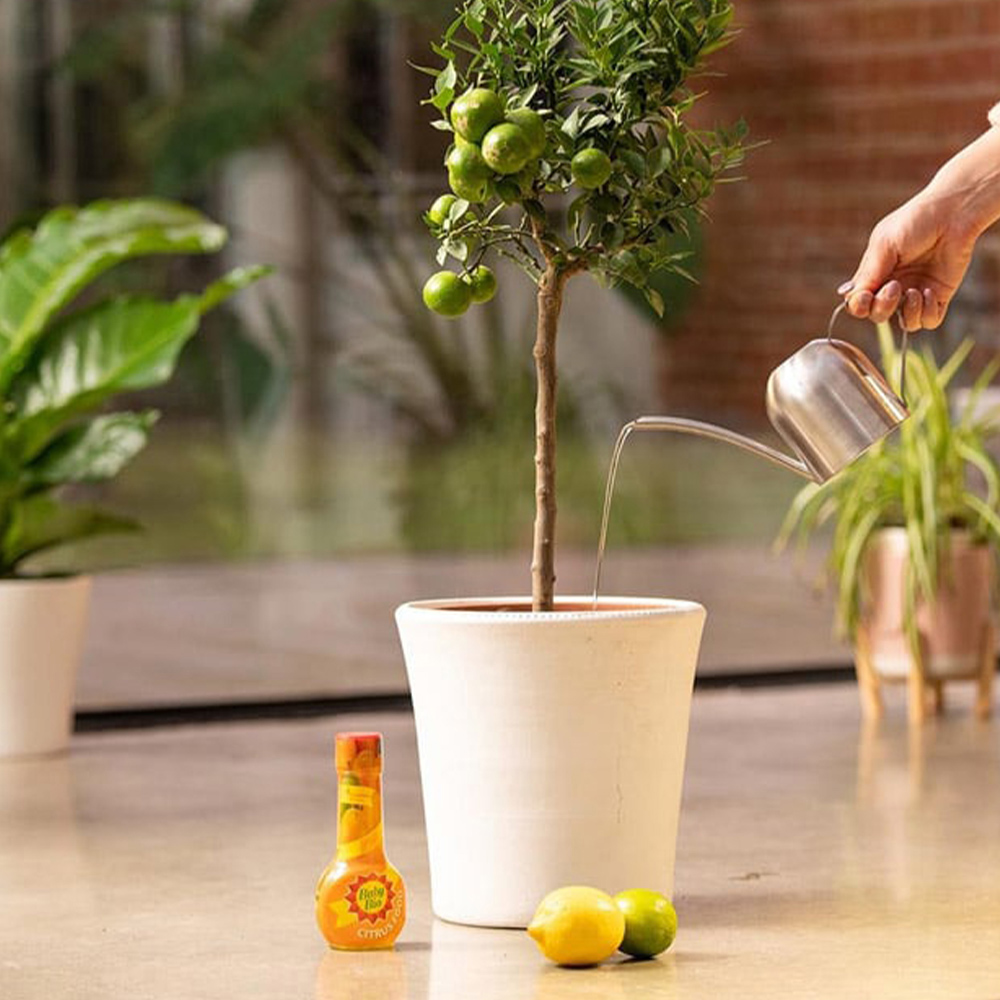 Baby Bio Citrus Food Image 3