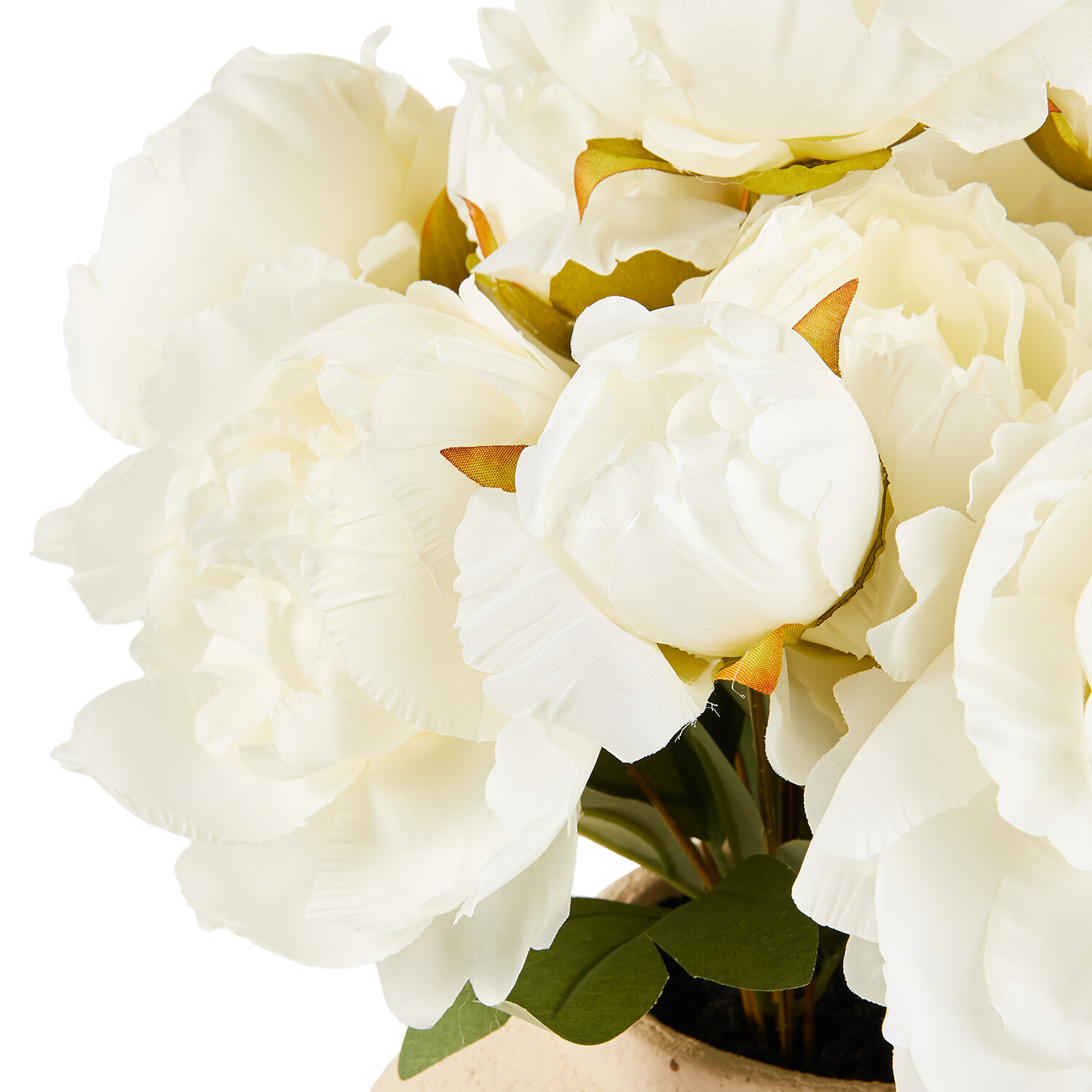 Peony Large Vase Arrangement - Soft Pink or Cream Image 7