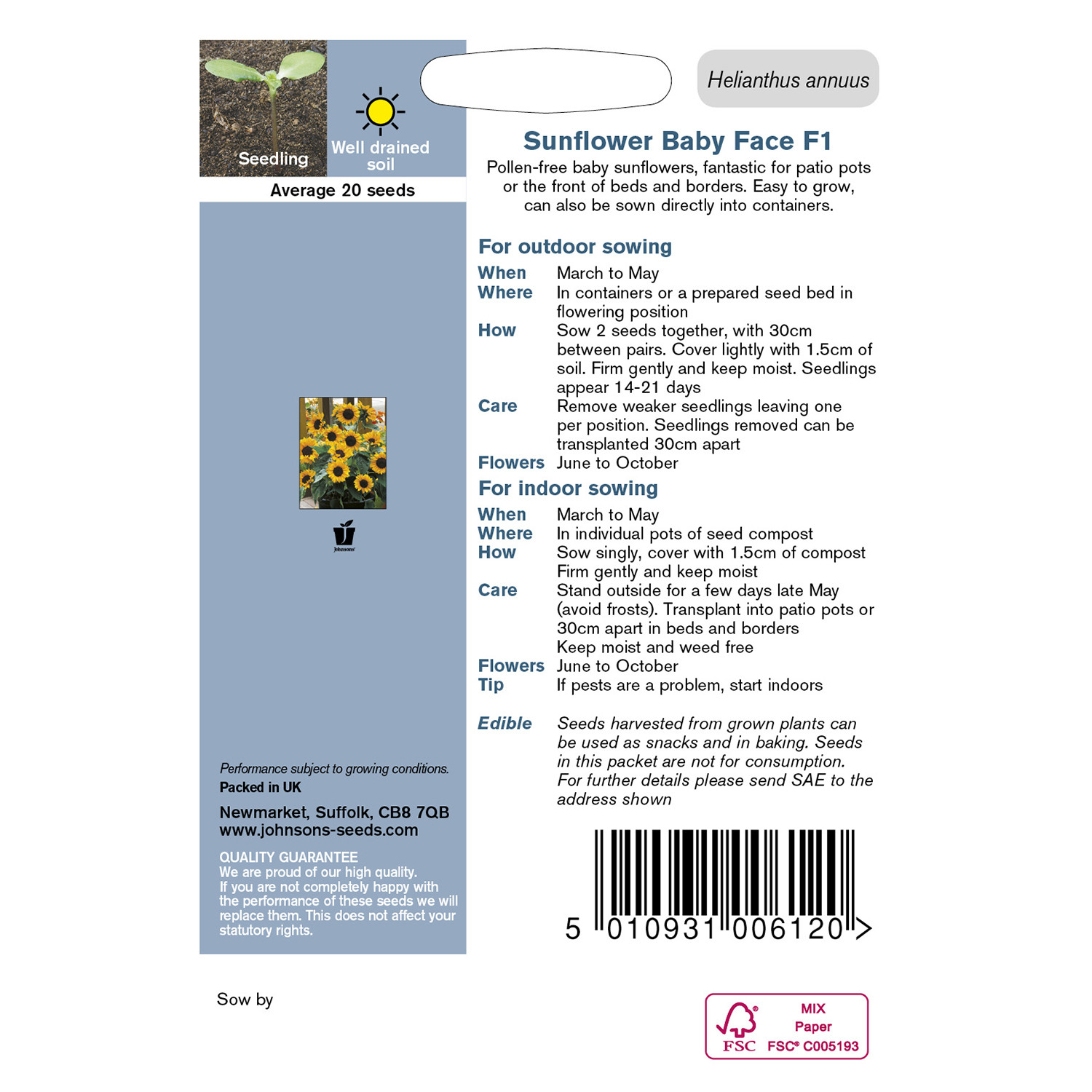 Johnsons Pack of Baby Face F1 Sunflower Seeds Image 2