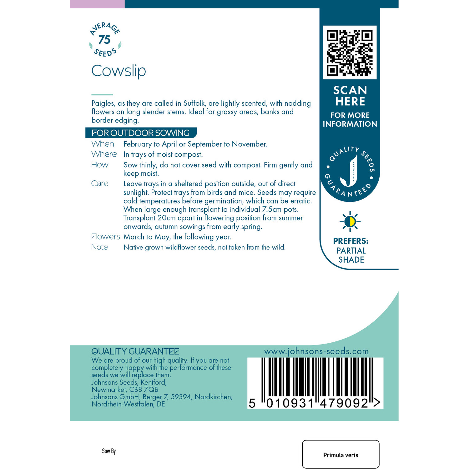 Cowslip Seeds Image 2