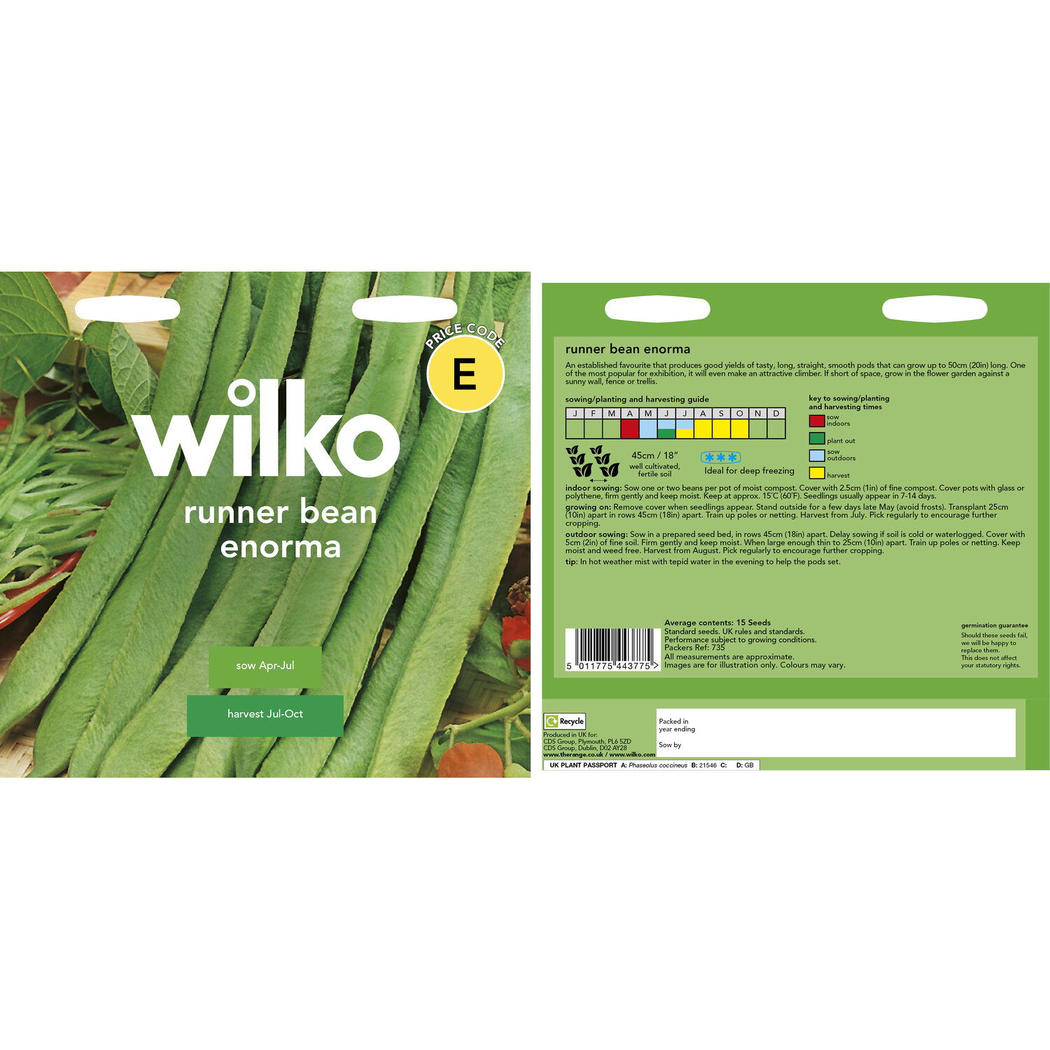 Runner Bean Enorma Seeds Image 3