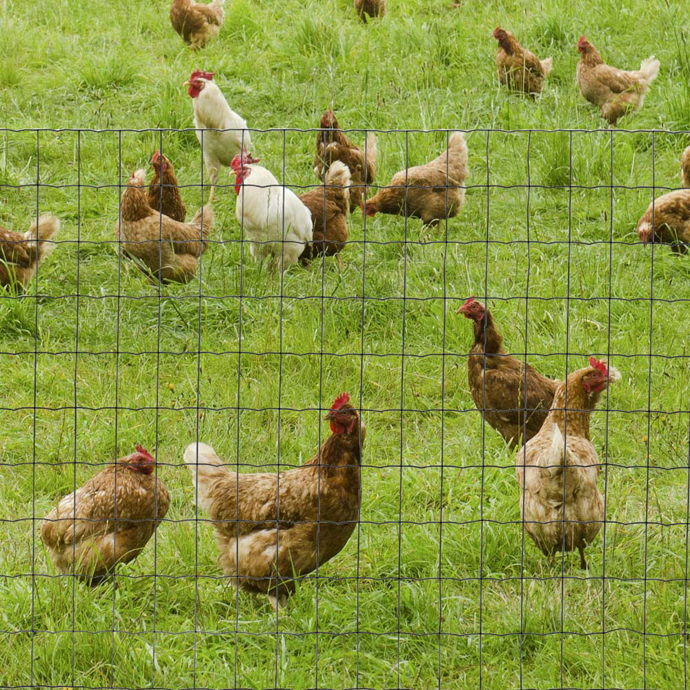 PawHut 1Mx10M Chicken Wire Mesh Rabbit Poultry Animal Fence PVC Coated Netting Image 2