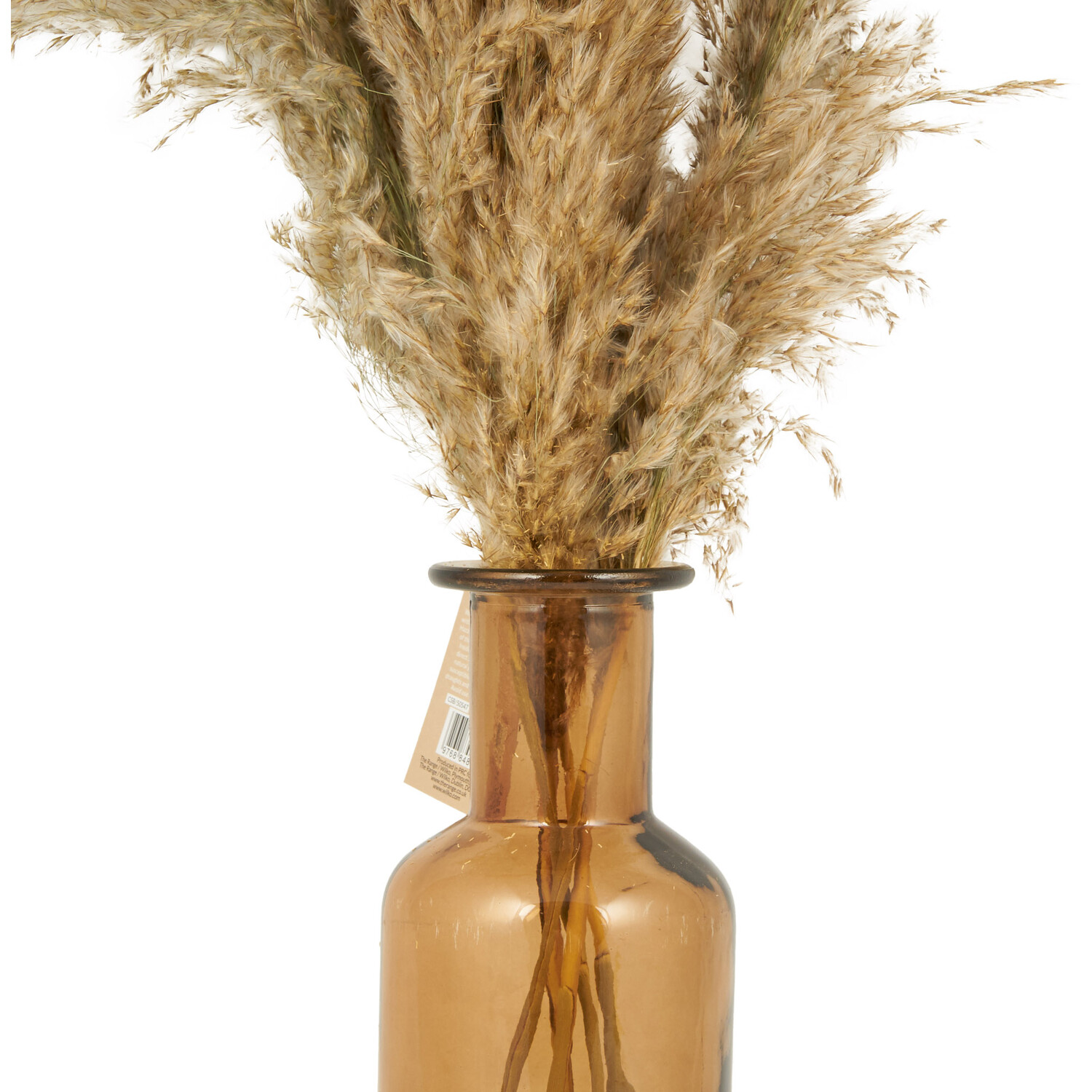Pampas in Amber Vase Arrangement Neutral Image 2