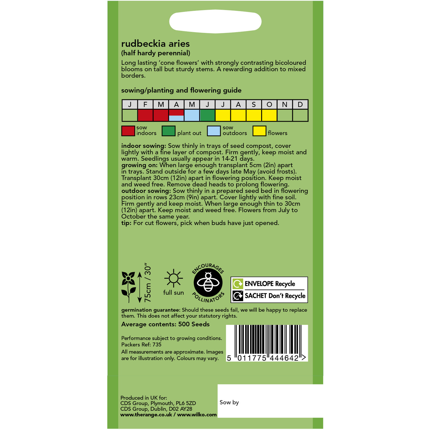 Rudbeckia Aries Seeds Yellow and Purple Image 2