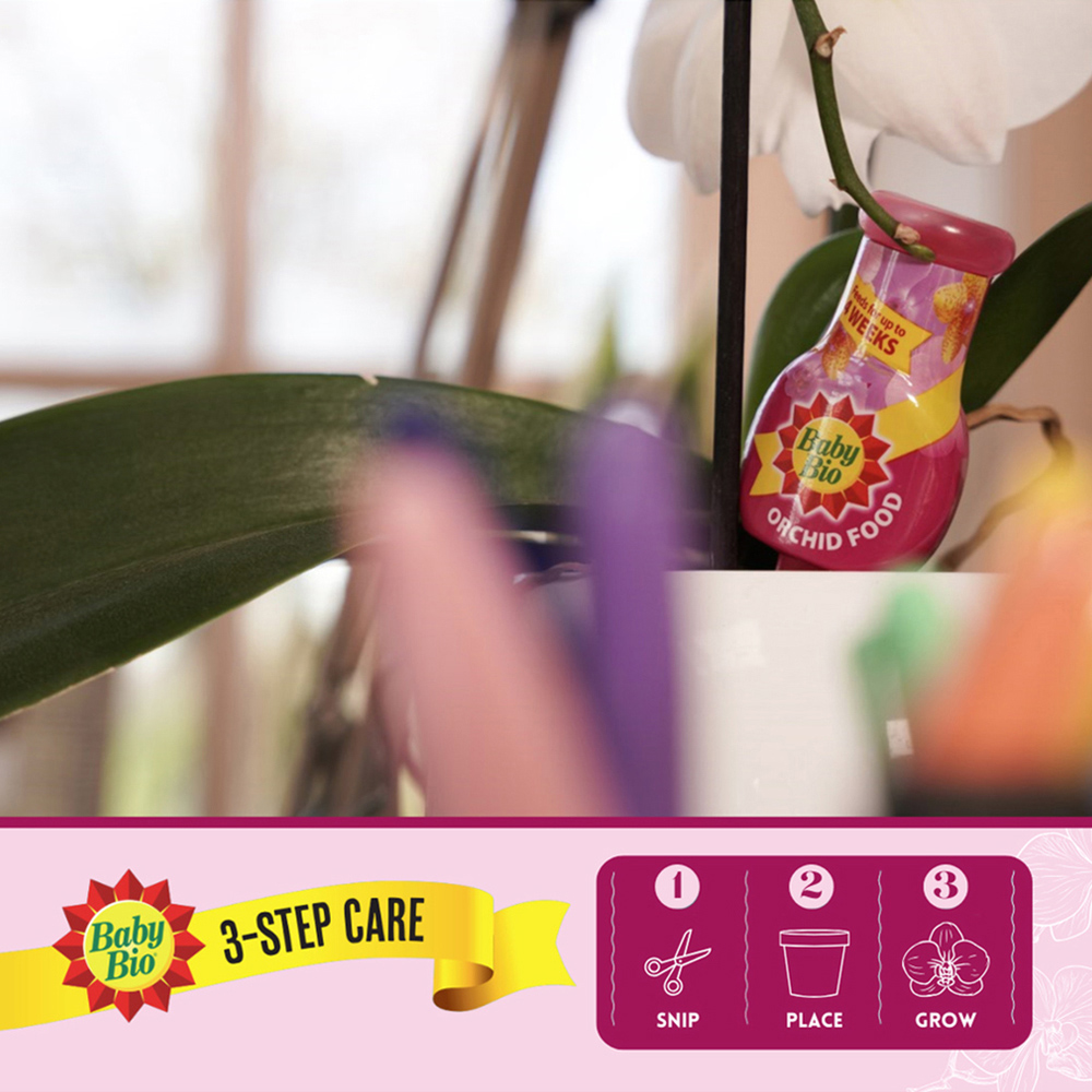 Baby Bio Orchid Drip Feeders 40ml 4 Pack Image 6