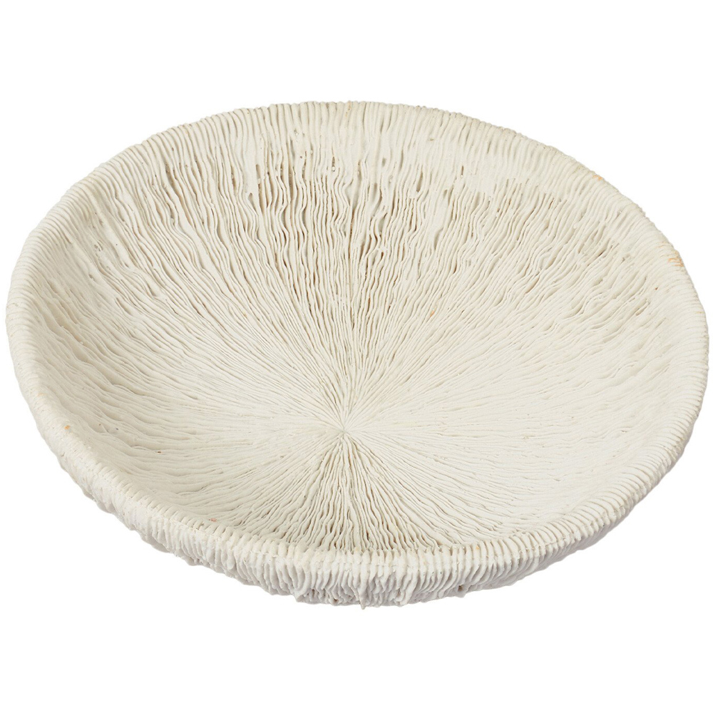 Sofia Textured Bowl - White Image 2