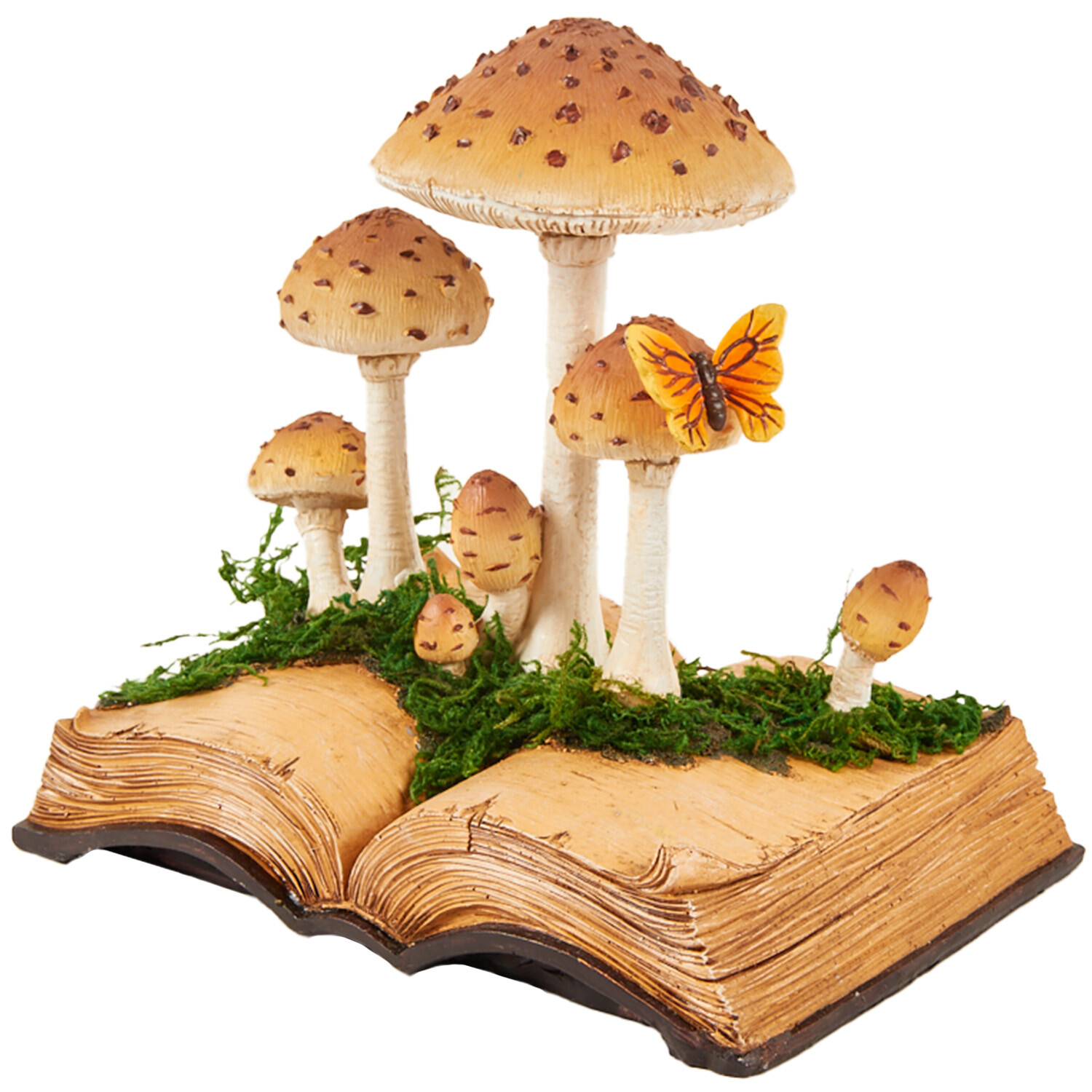 Mushroom Book - Brown Image 2