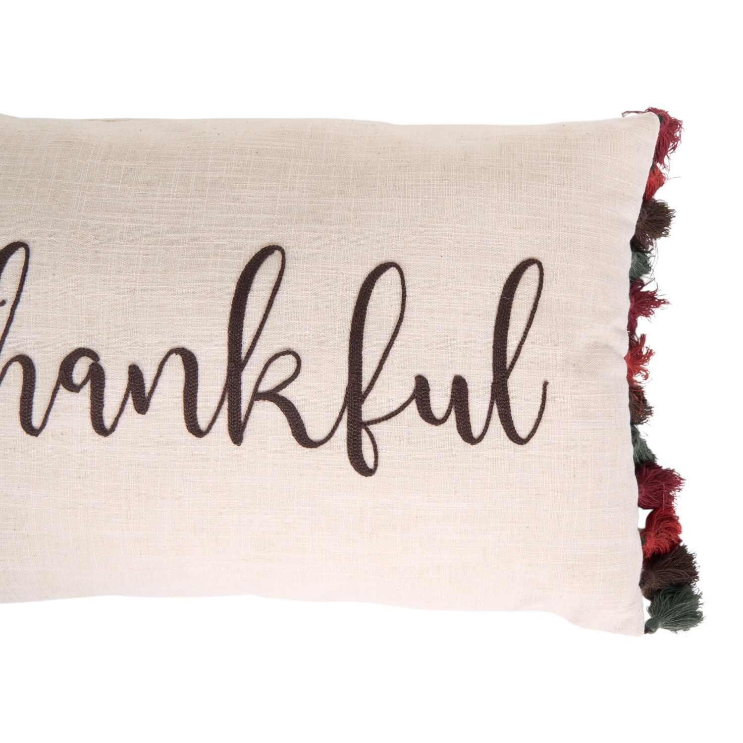 Thankful Tassel Cushion Beige Image 2