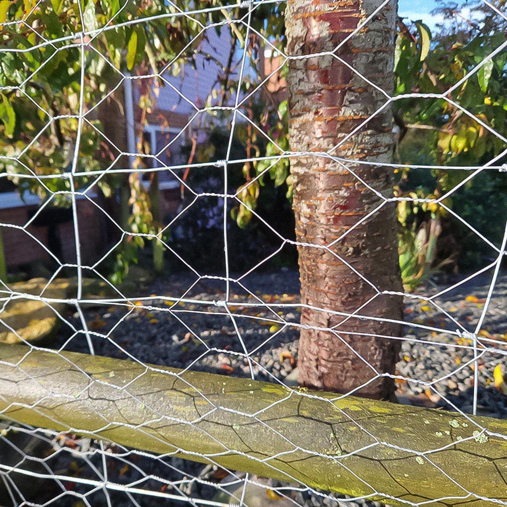 Inspirational Gifting 25mm Galvanised Wire Mesh Chicken Fencing Roll 120cm x 50m Image 4