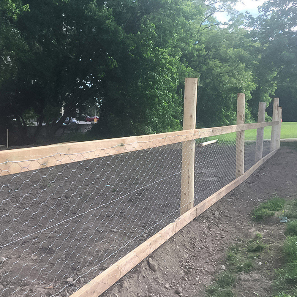 Inspirational Gifting 25mm Galvanised Wire Mesh Chicken Fencing Roll 120cm x 50m Image 3