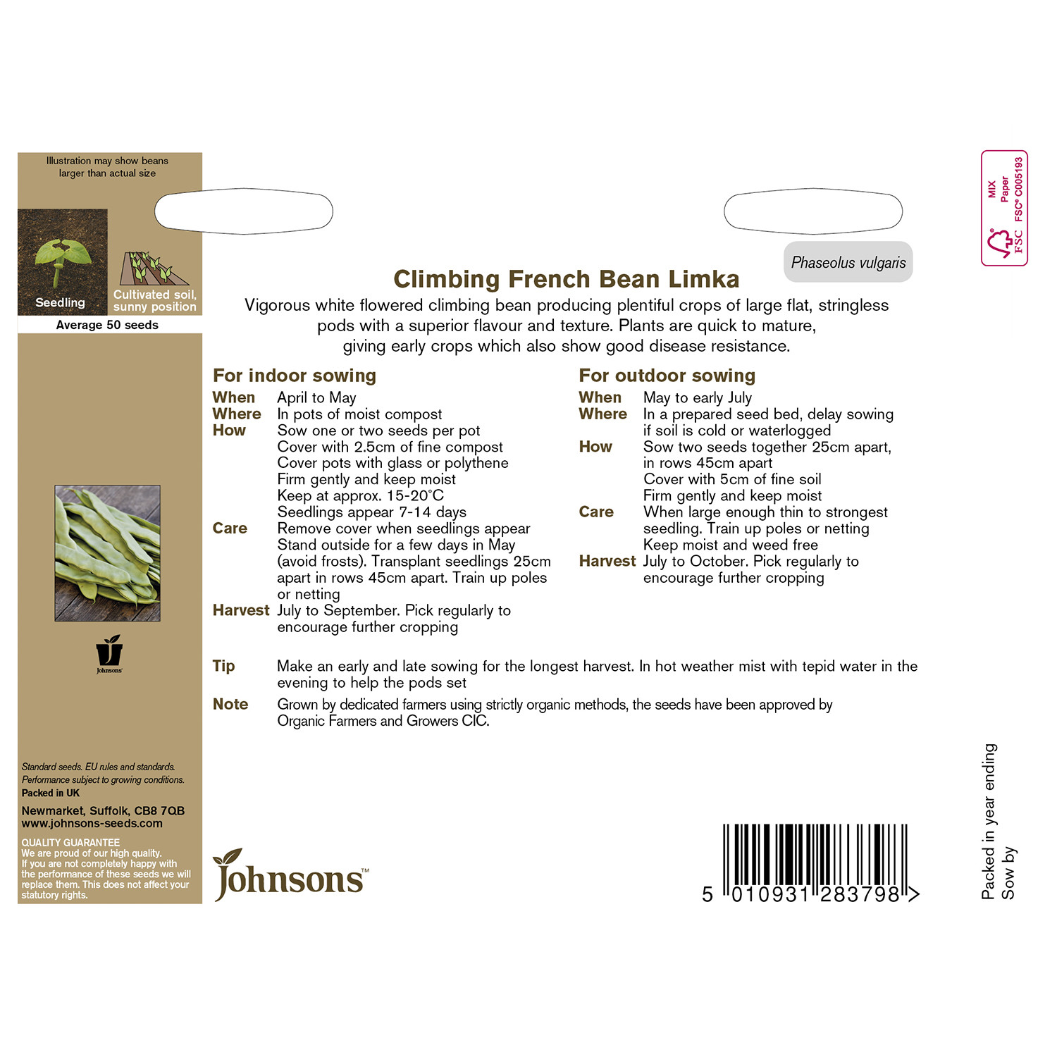 Climbing French Bean Sunshine Image 2