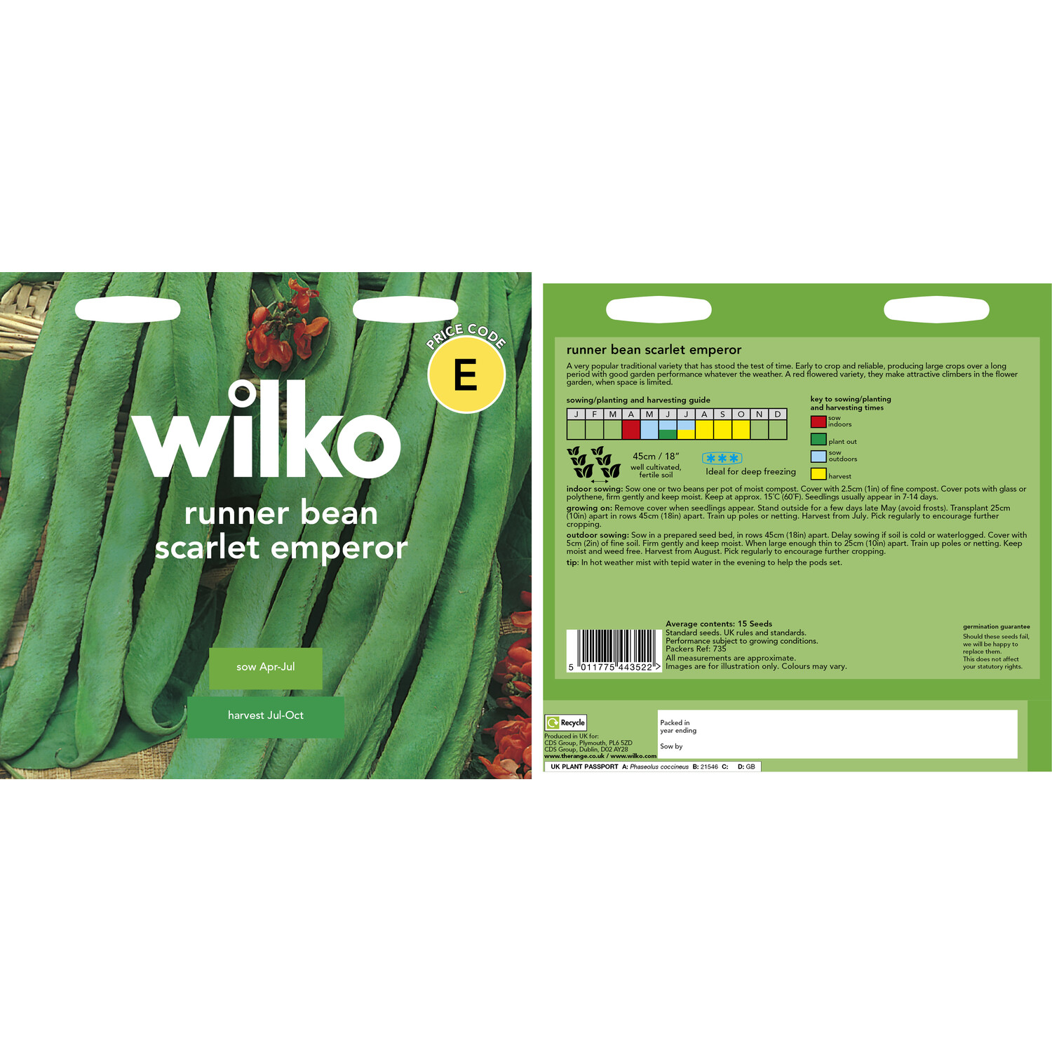 Runner Bean Scarlet Emperor Seeds Image 3