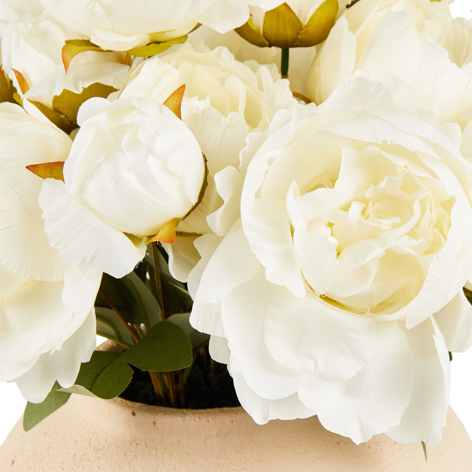 Peony Large Vase Arrangement - Soft Pink or Cream Image 6