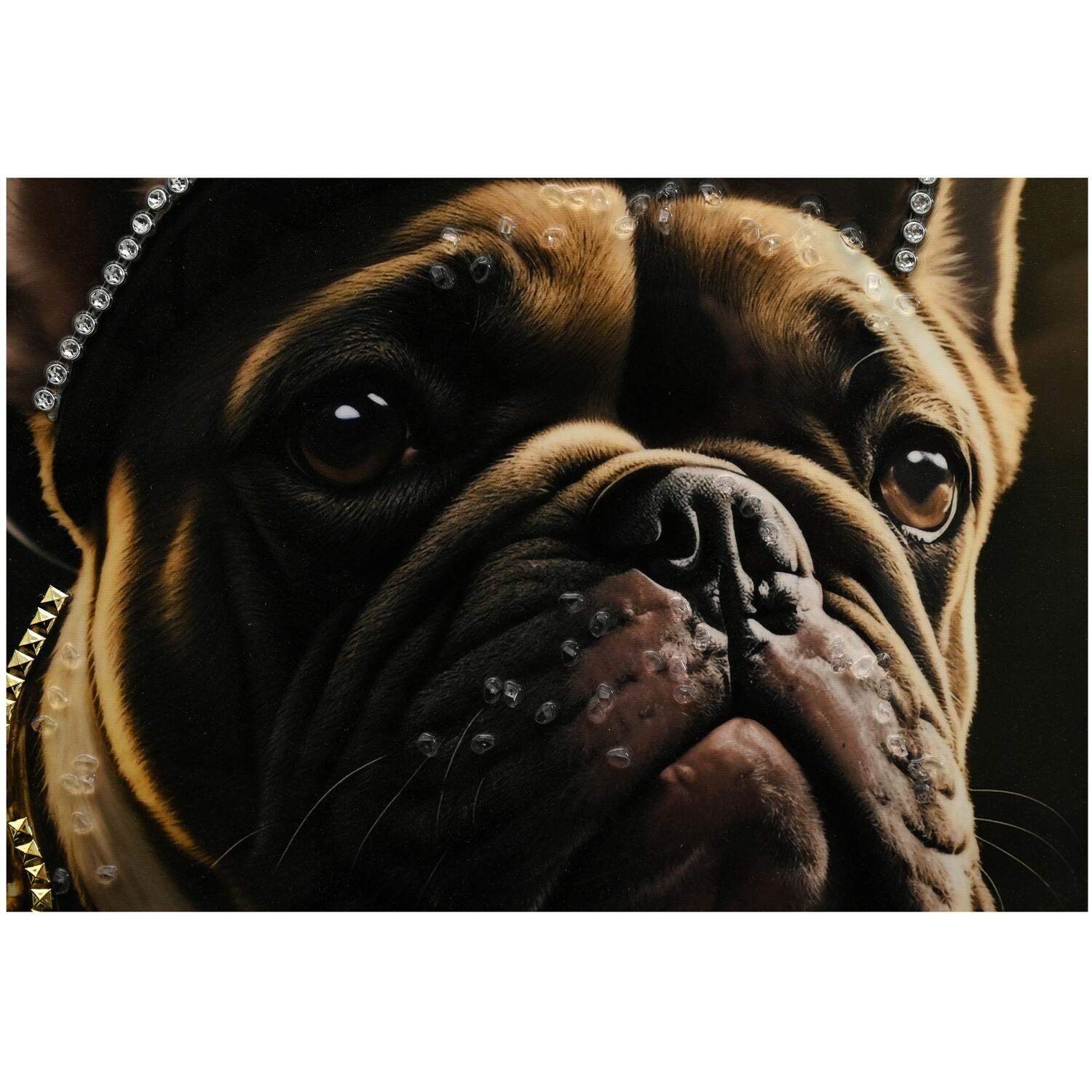 Glossy Jewelled Street Style Dog Canvas - Multicolour Image 3