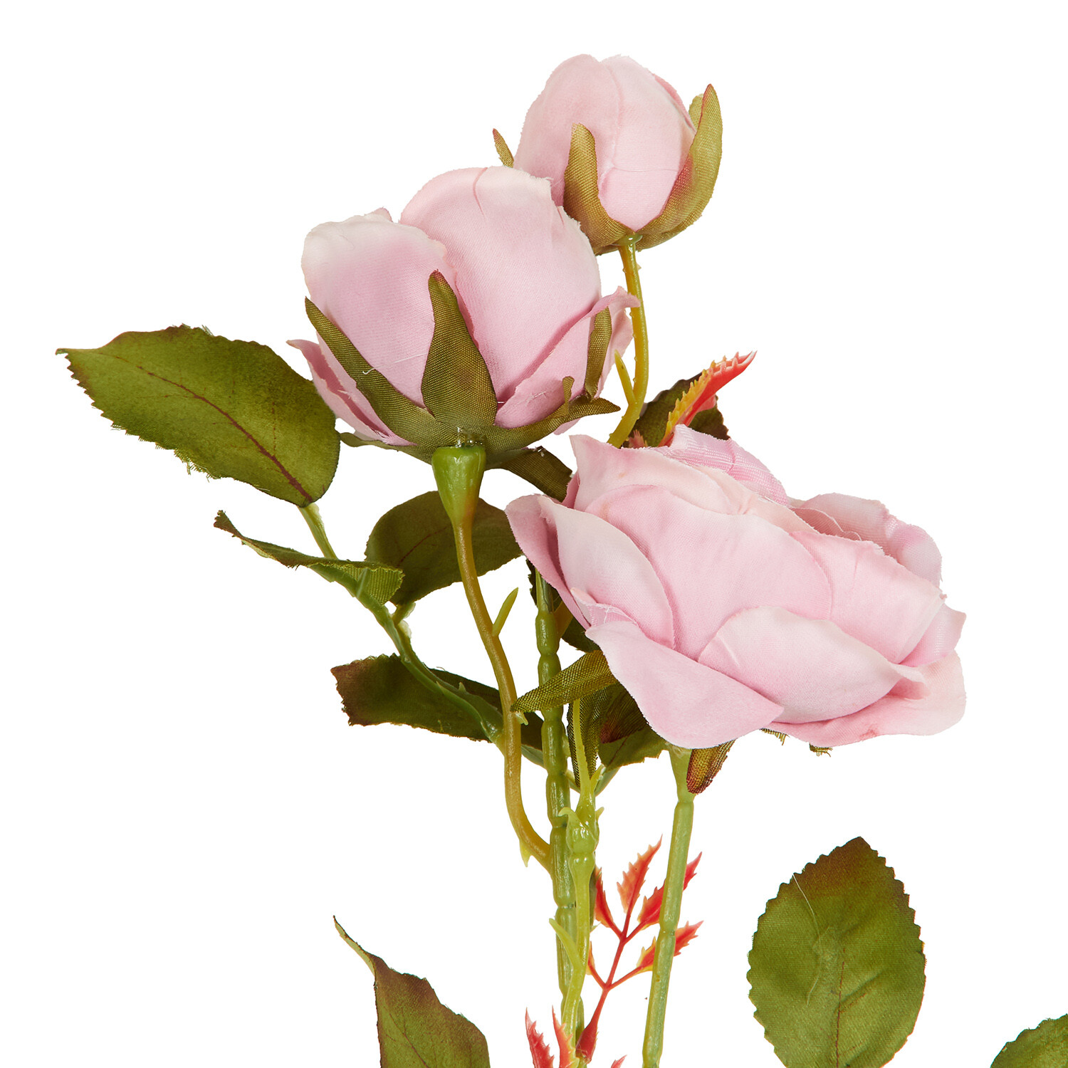 Alora Rose Stem  - Multicolour Image 7