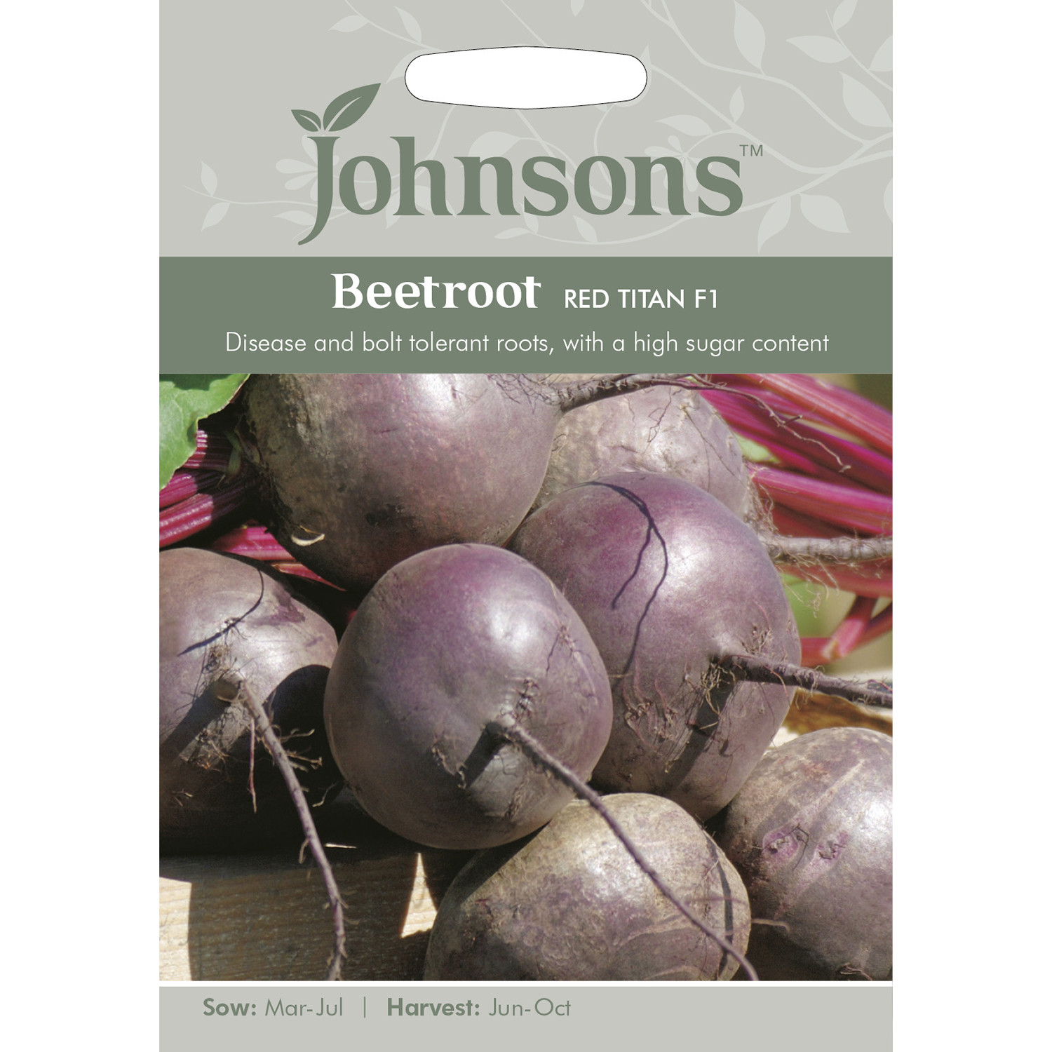 Johnsons Red Titan F1 Beetroot Seeds Image 2
