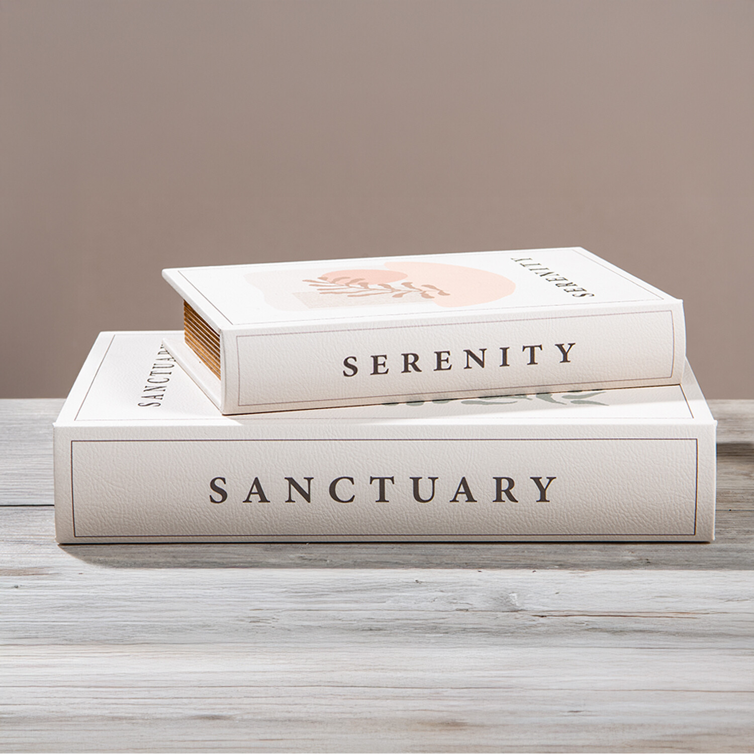 Set of 2 Sanctuary and Serenity Book Boxes White Image 4