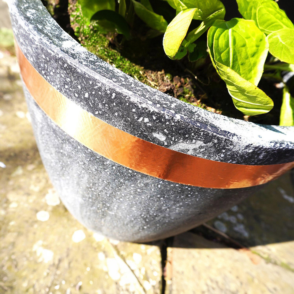 Rentokil Ant Killer Gel Image 5