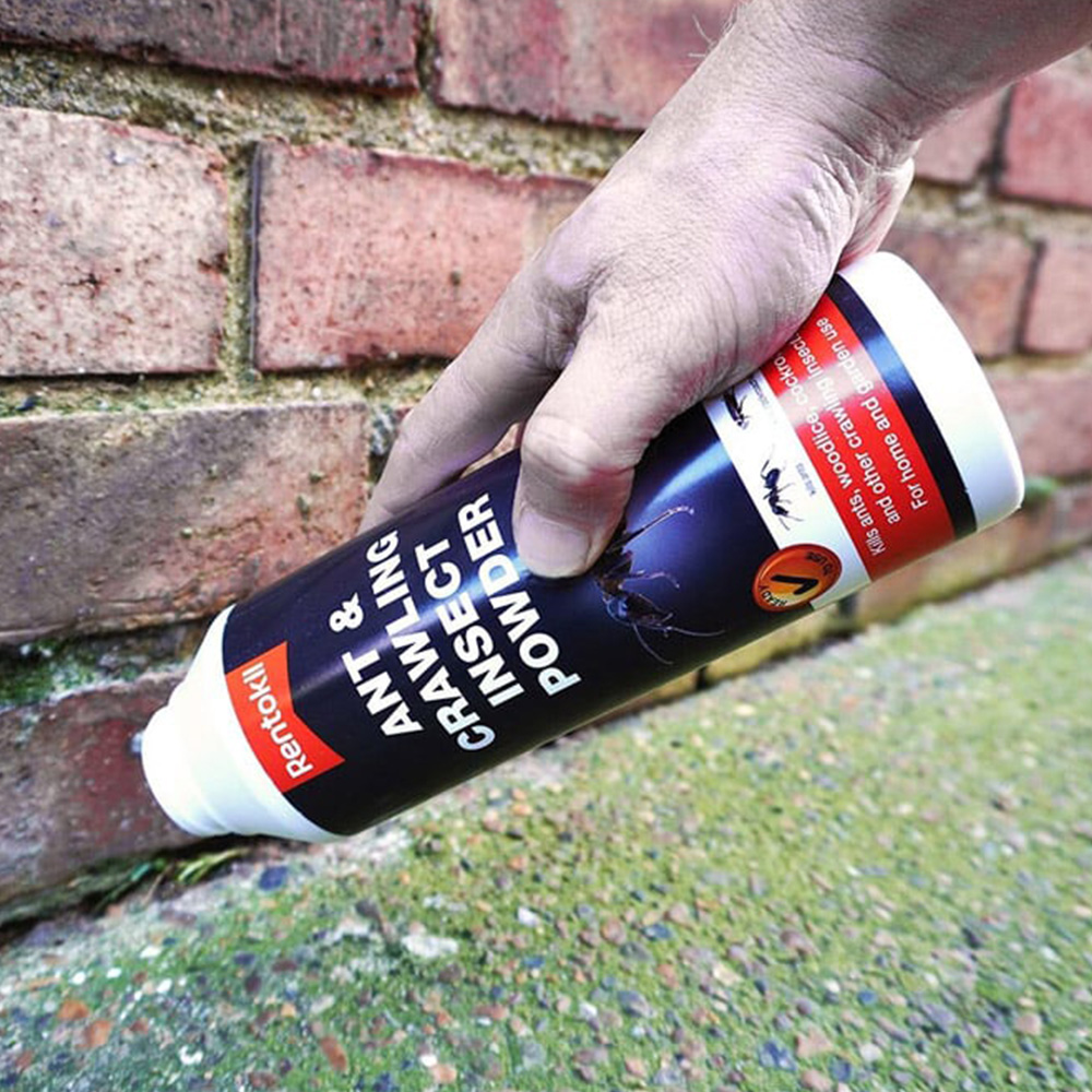 Ant and Crawling Insect Powder Image 3