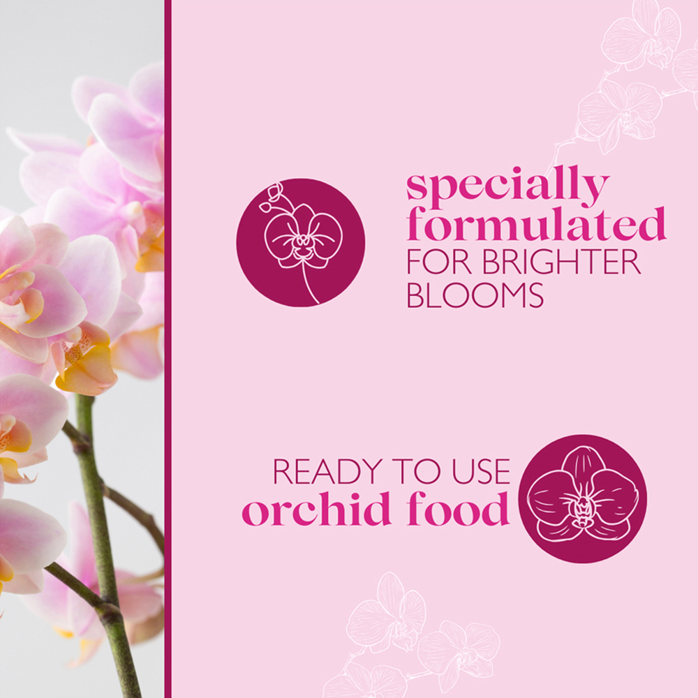 Baby Bio Orchid Drip Feeders 40ml 4 Pack Image 7