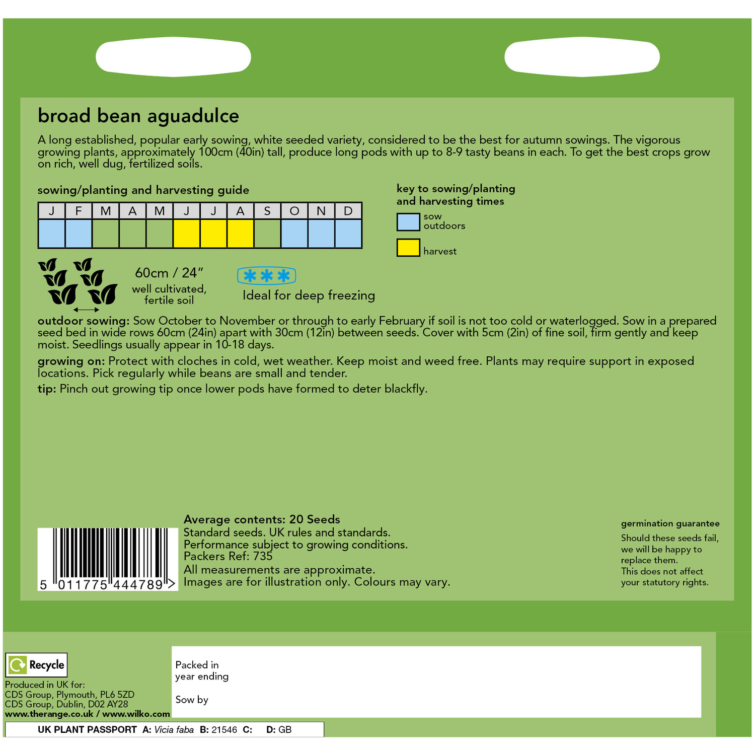 Broad Bean Aguadulce Seeds Green Image 2