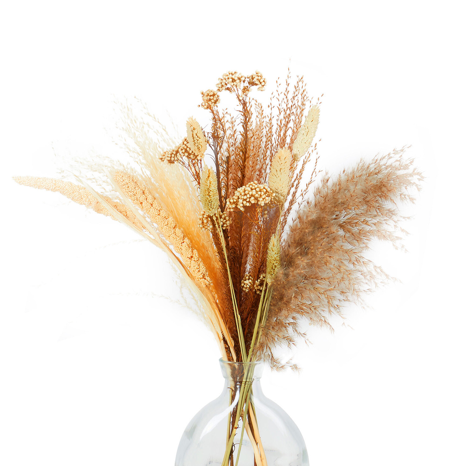 Dried Floristry Vase Arrangement Image 4