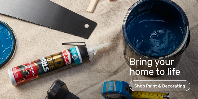 Paint &amp; Decorating