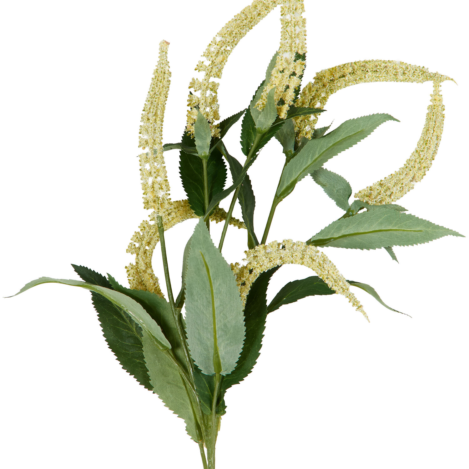 Salvia Spray Image 6